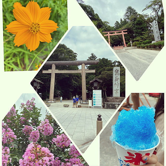 cocoさんの実例写真
