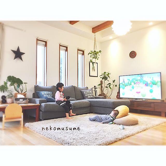 nekomusumeさんの実例写真
