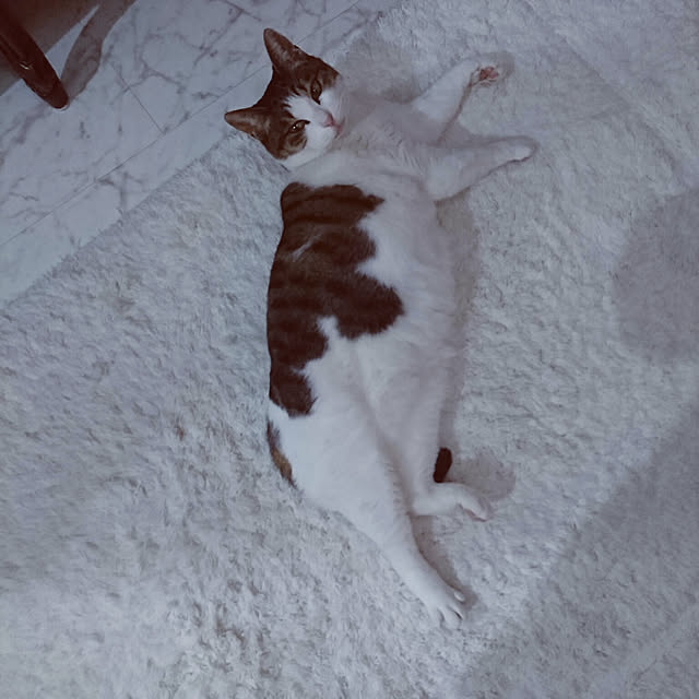 machikomamaさんの実例写真