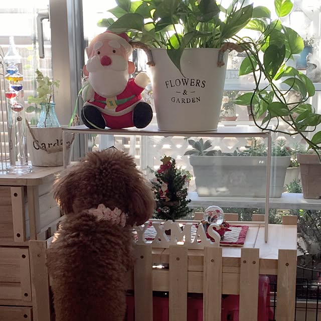 ISM.mumさんの実例写真
