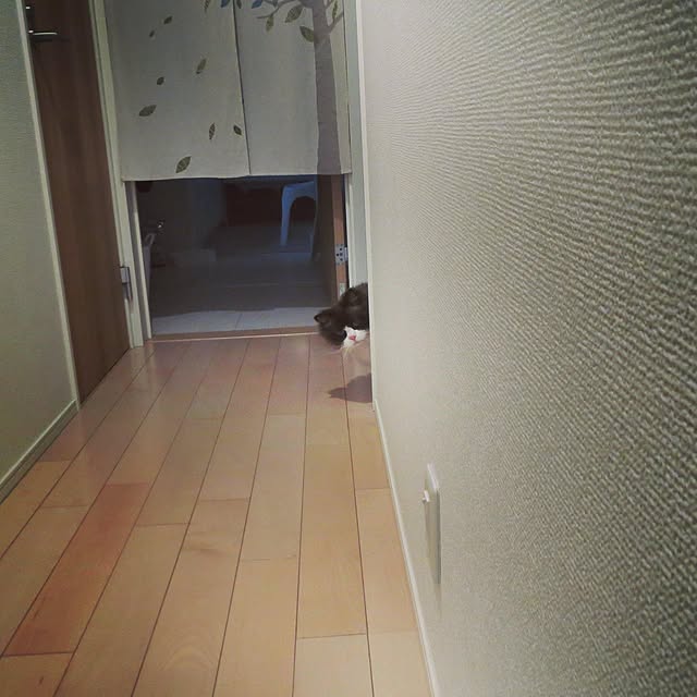 hiroshiさんの実例写真