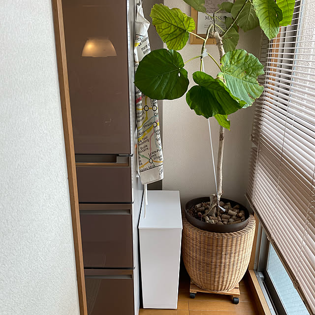cottoncottonさんの実例写真
