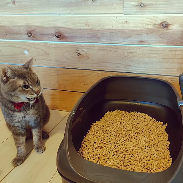 orca_cafeさんの実例写真