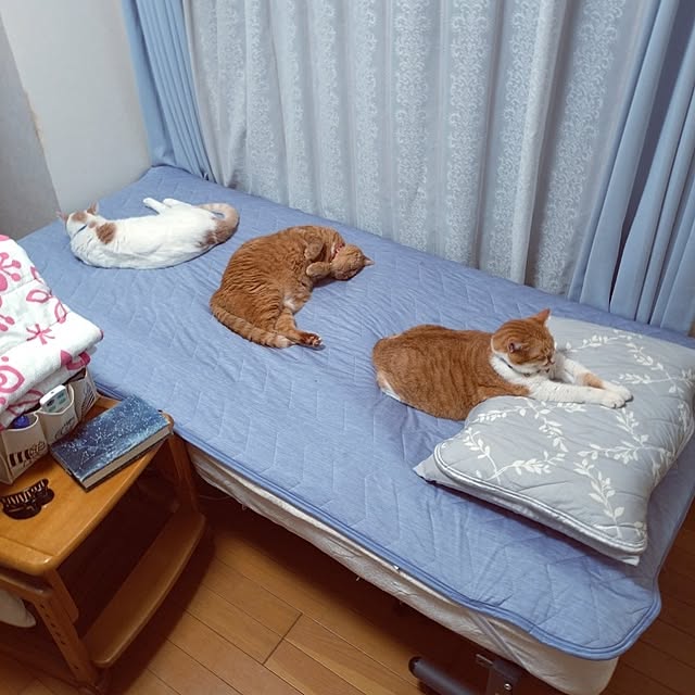 NOAHさんの部屋