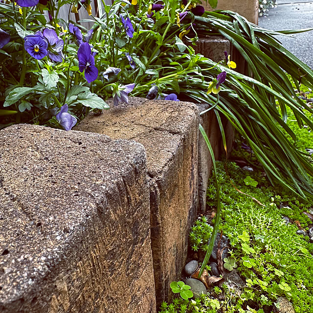 chacoさんの部屋