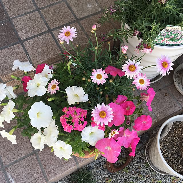 YUMIwancafe84さんの実例写真