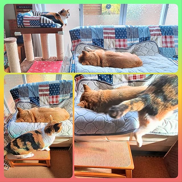 nanaさんの実例写真