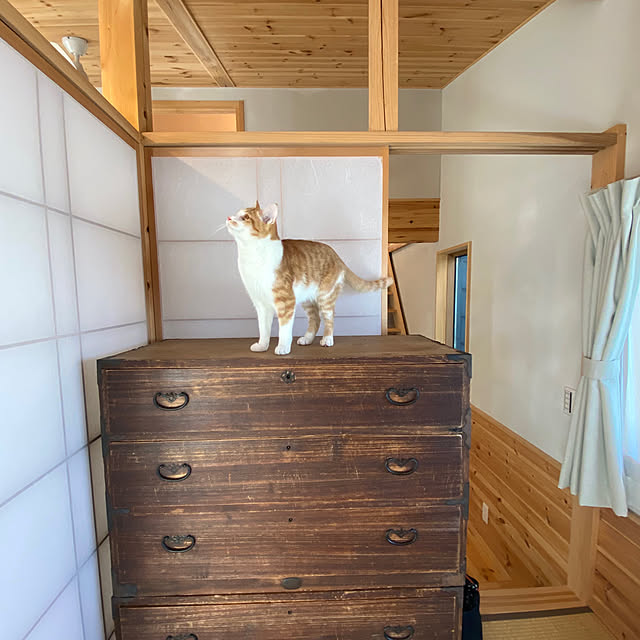 senbei.sakuramochiさんの実例写真