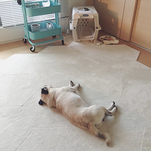YUIさんの実例写真