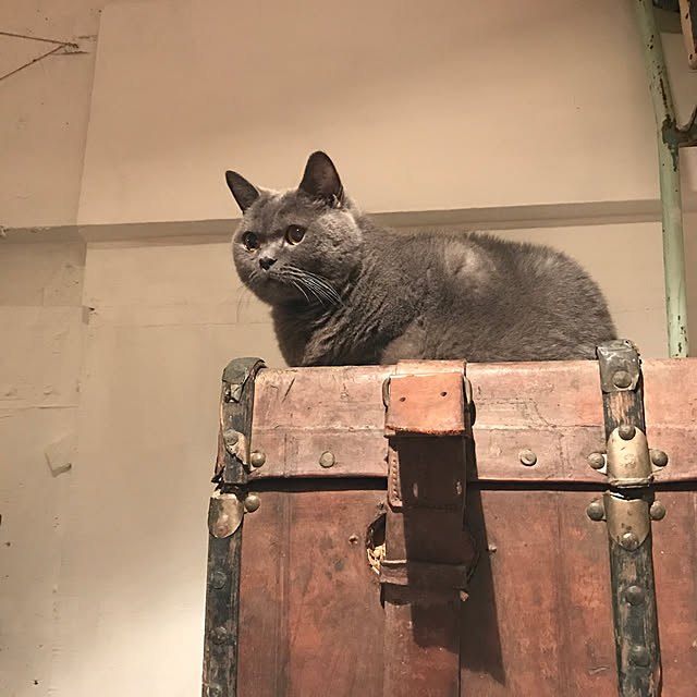 miizer8さんの実例写真