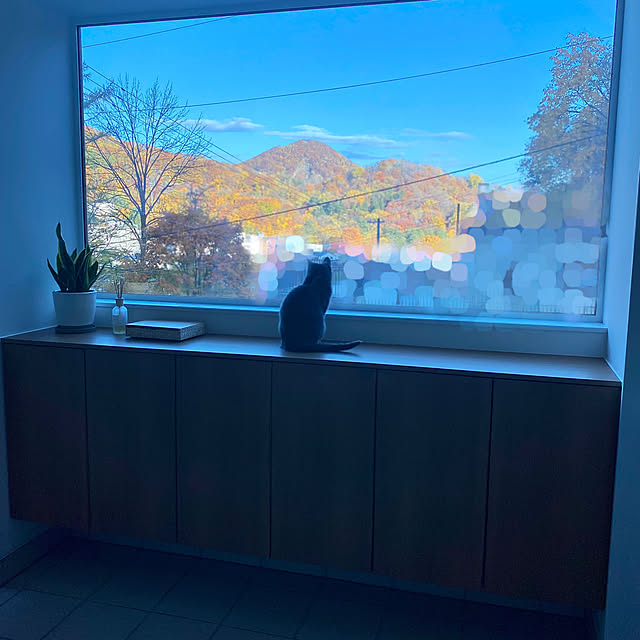 naruminさんの実例写真