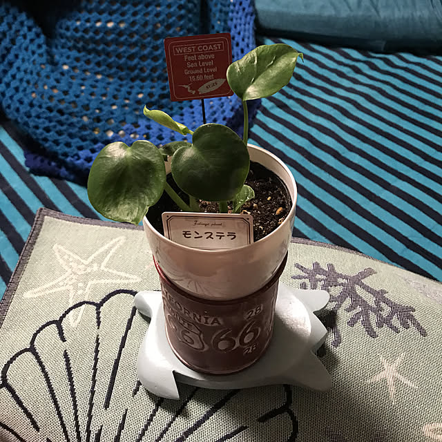 yuさんの実例写真