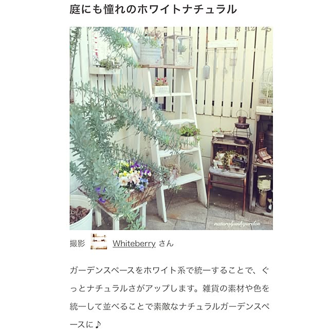 Whiteberryさんの実例写真