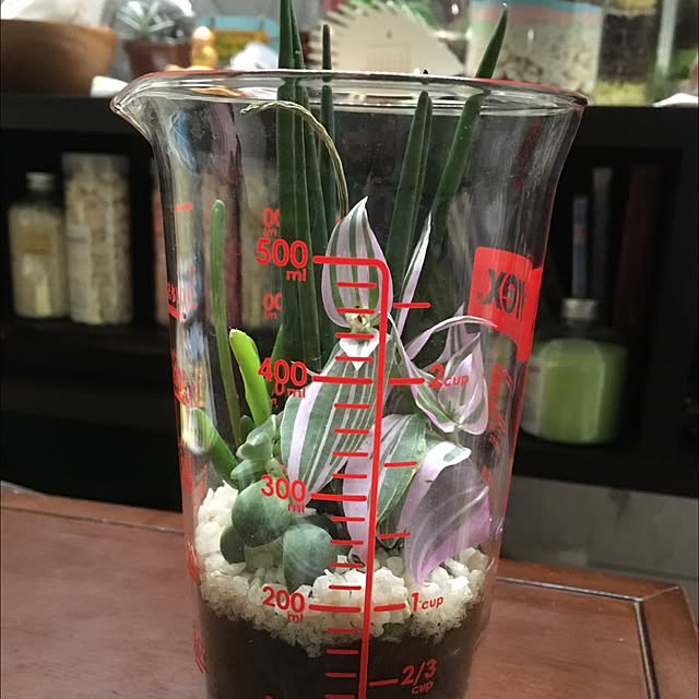 takemasaさんの実例写真