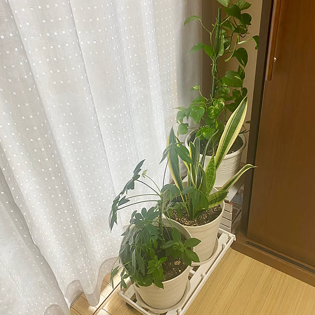 YuuKoさんの部屋