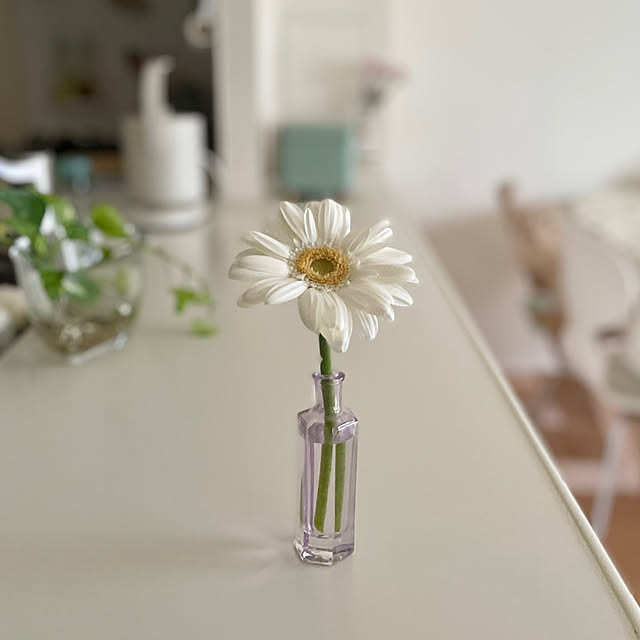 maryonaさんの部屋
