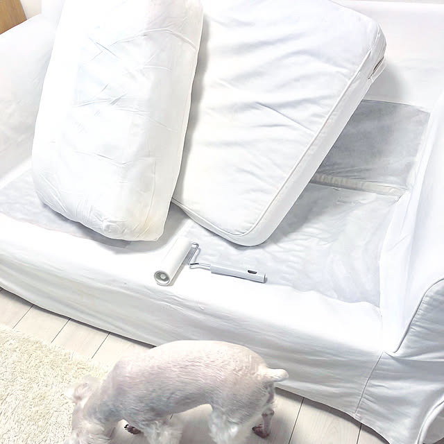 suzyさんの実例写真