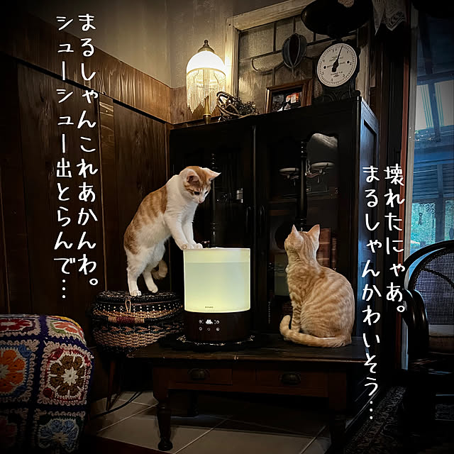 marusanさんの実例写真