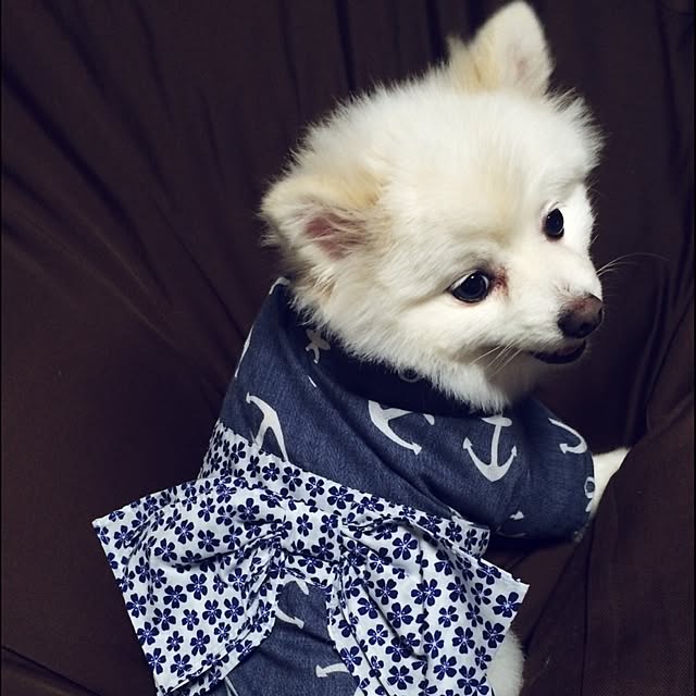mikiさんの実例写真
