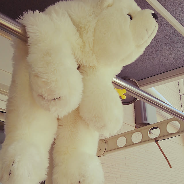 TAMAGODONBURIさんの実例写真