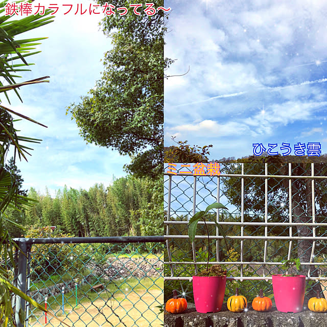 koyuriさんの実例写真