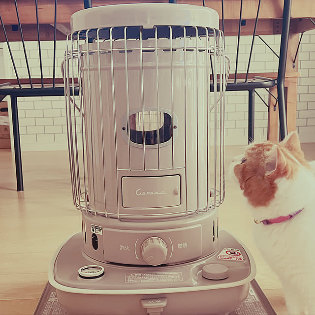 akoさんの実例写真