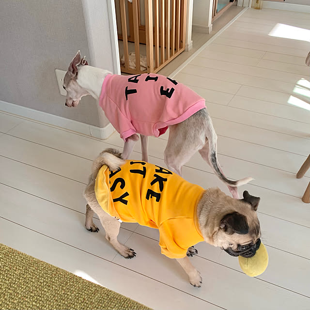 onsen-_-tamagoさんの実例写真