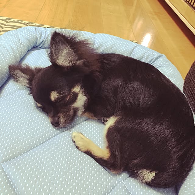 YukiYukiさんの実例写真