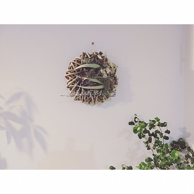 chanさんの実例写真