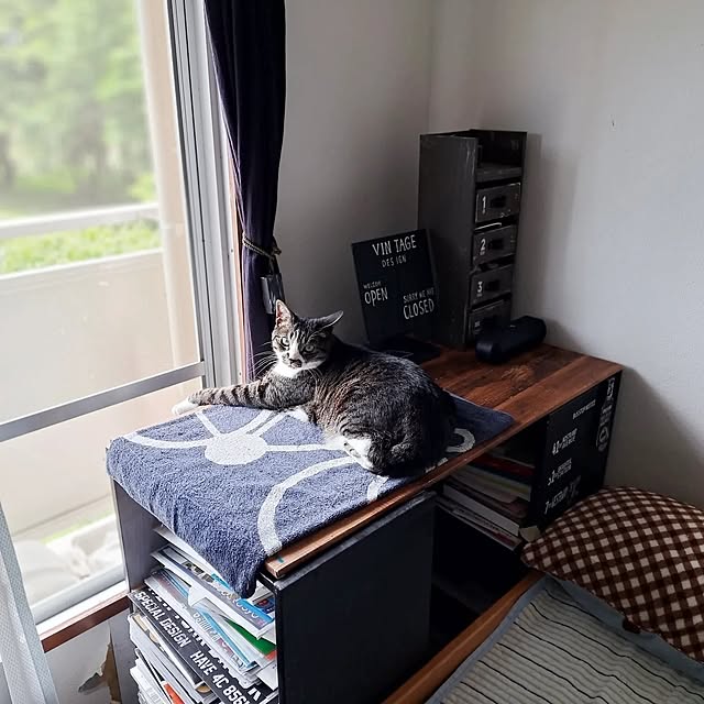 shinoさんの実例写真