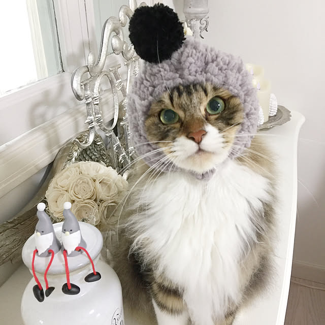 yuchiさんの実例写真