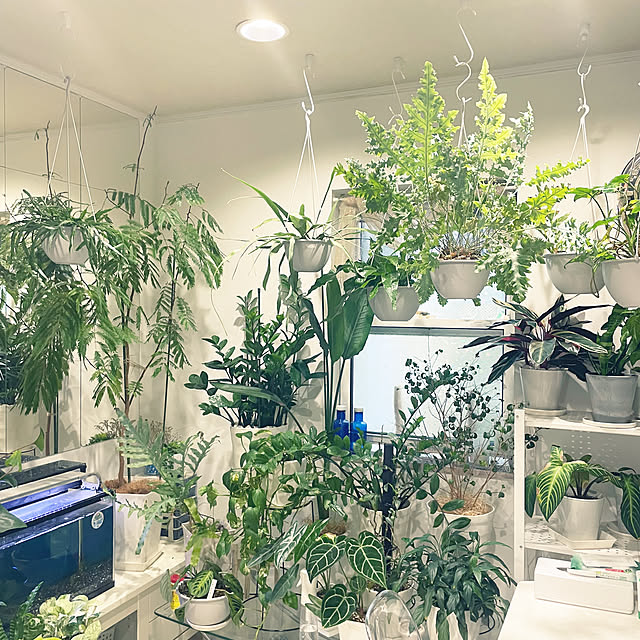 kanakoさんの部屋