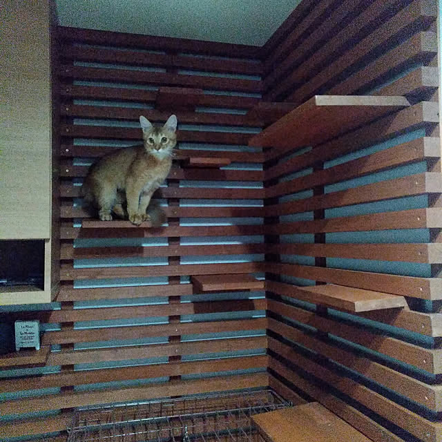poohkichiさんの実例写真