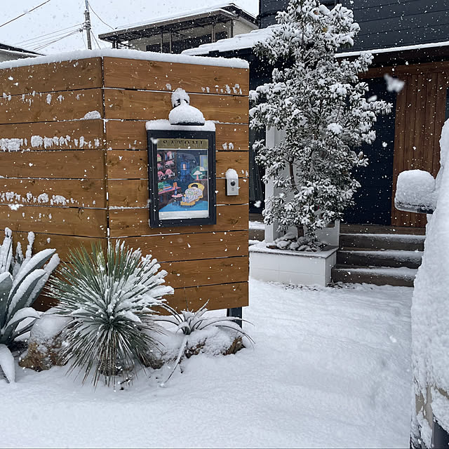 shitakiさんの実例写真