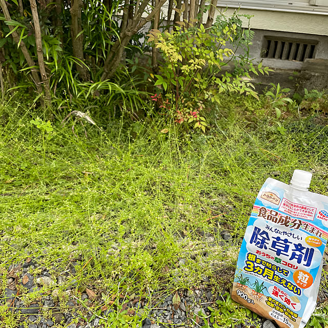 burubonさんの部屋