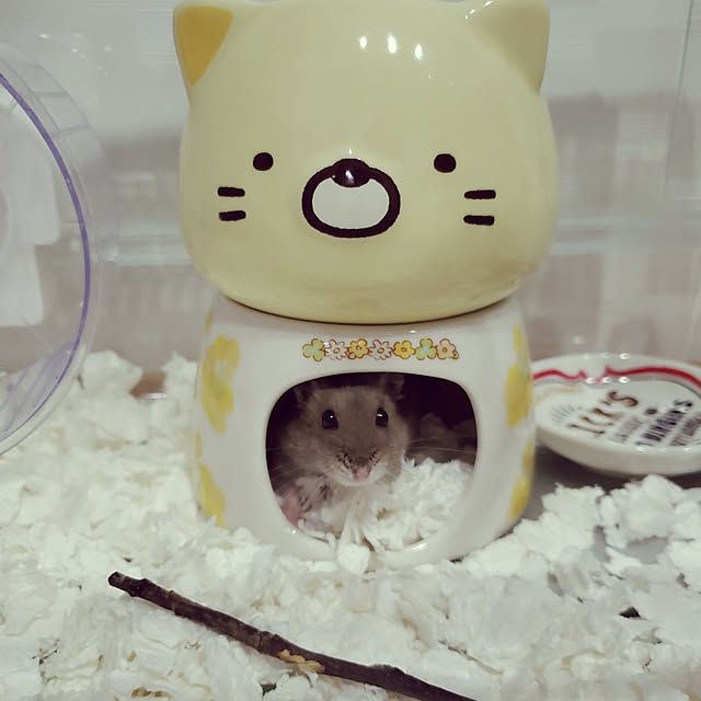 BAZさんの実例写真