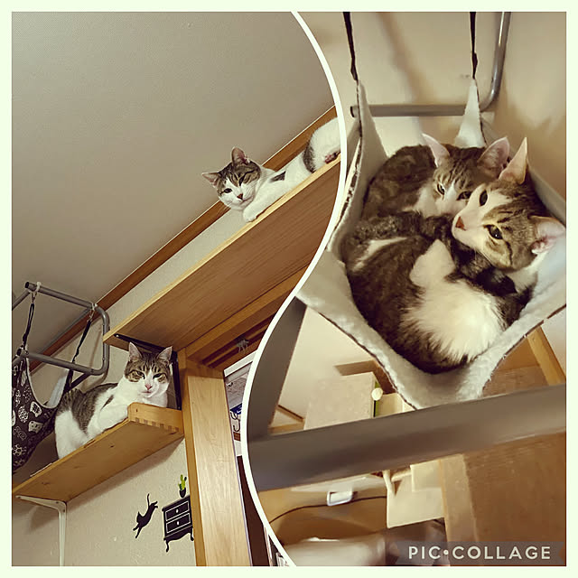 Lufuさんの実例写真