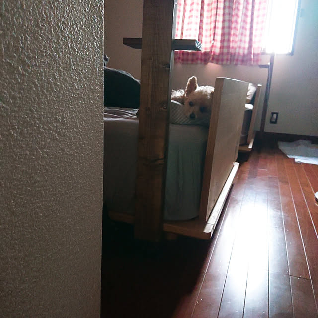 kikiさんの実例写真