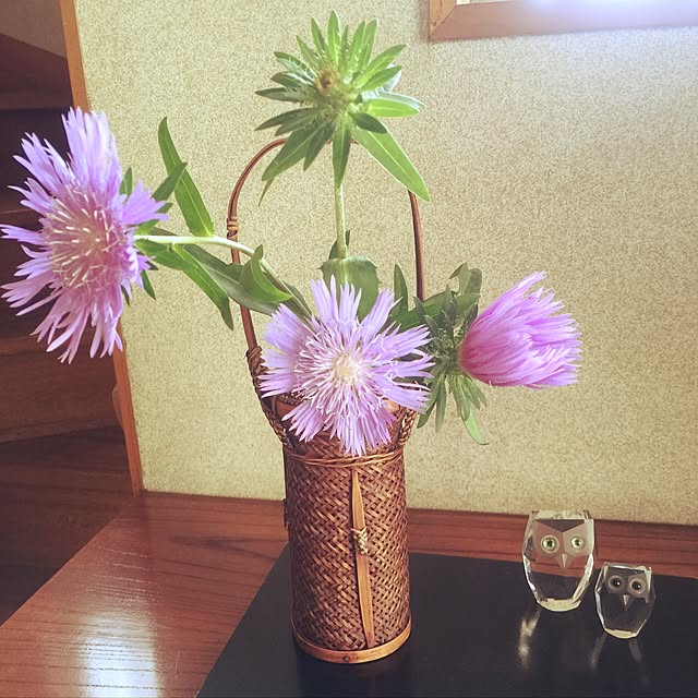 yumiaoさんの実例写真