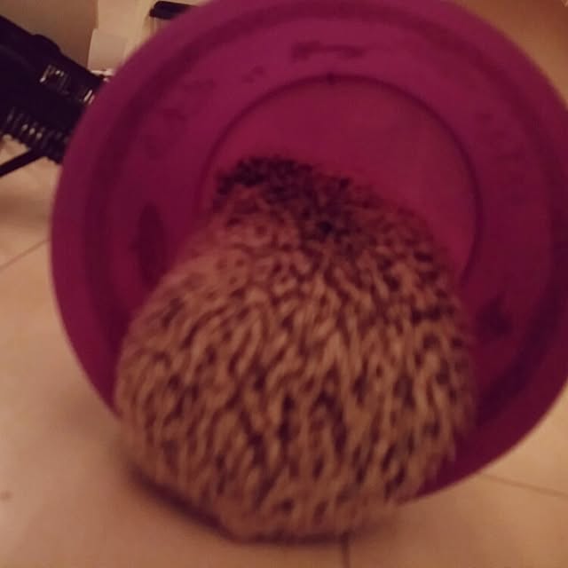 kuruさんの実例写真