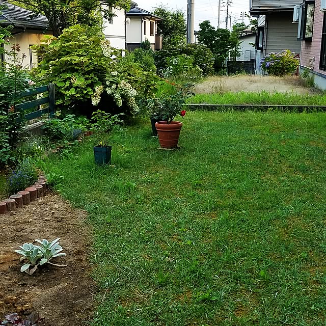 Kinanさんの実例写真