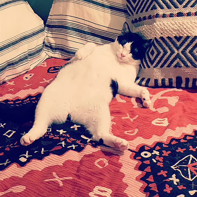 emiemiさんの実例写真