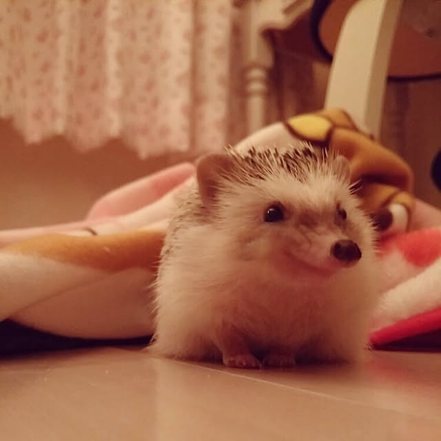 kuruさんの実例写真