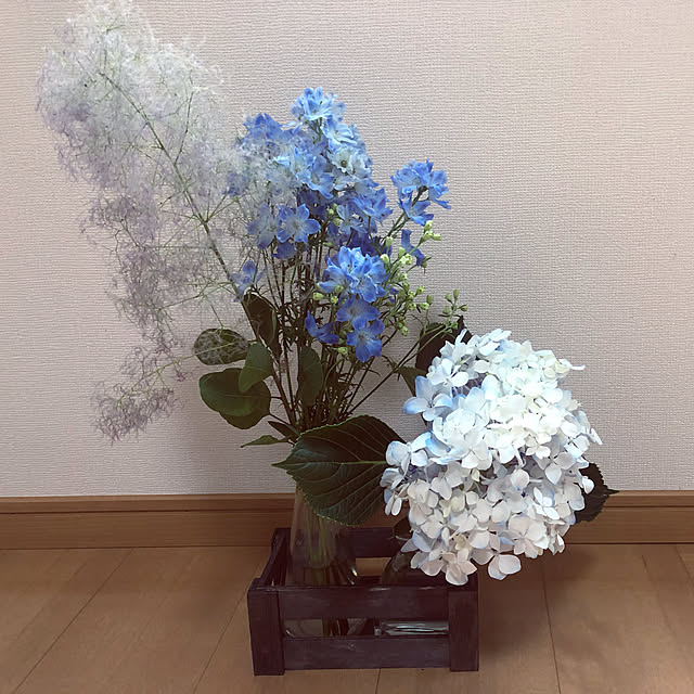 Hayabusaさんの実例写真