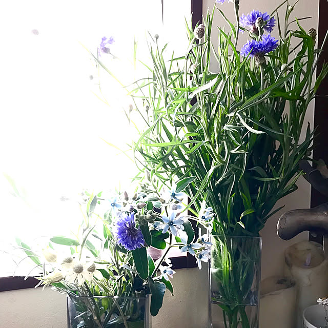 skip529さんの実例写真