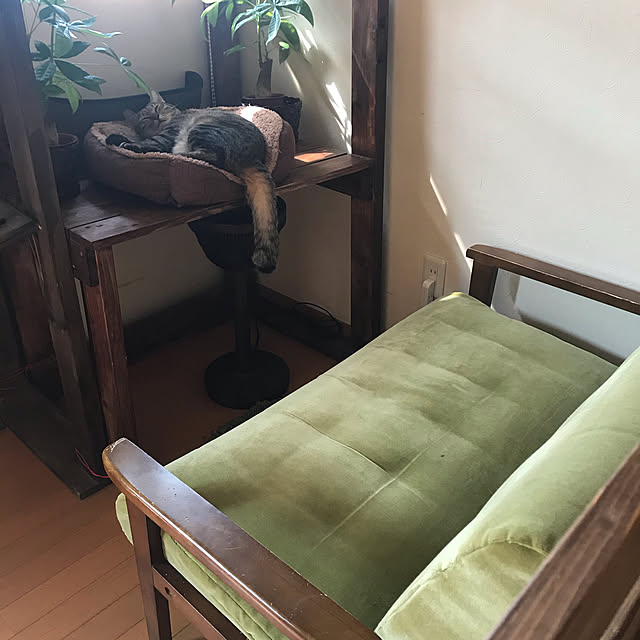 mikan161さんの実例写真