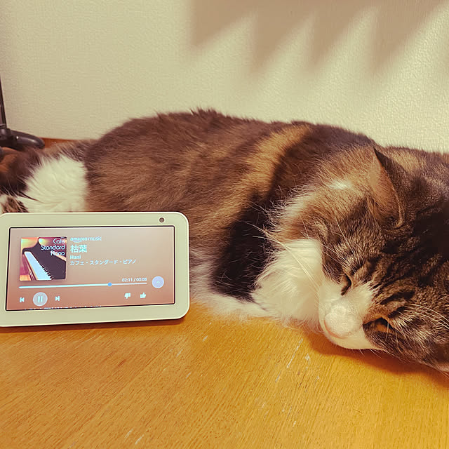 noelmamaさんの実例写真