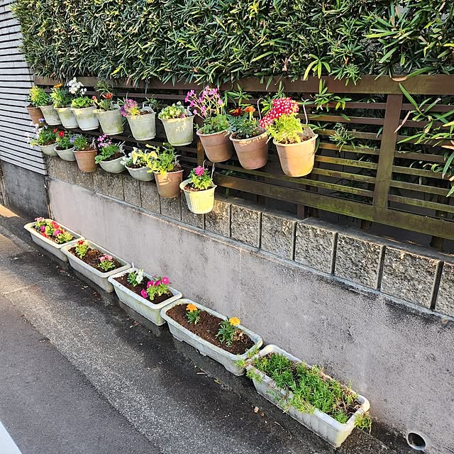 fuchan0930さんの実例写真