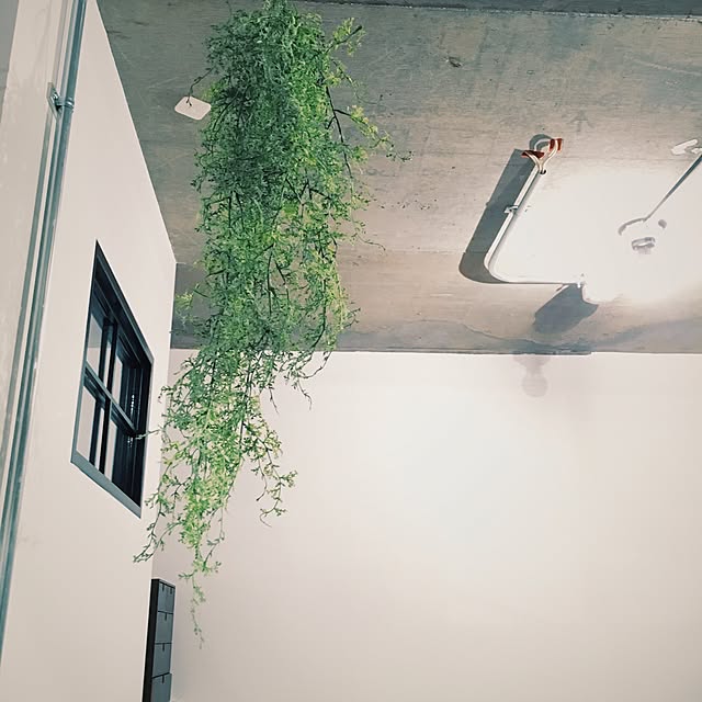 Asamiさんの実例写真