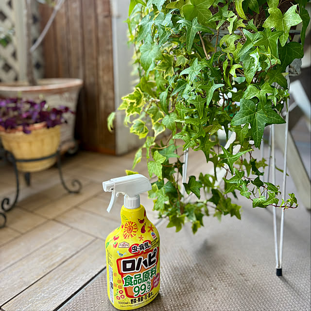 momo_sanさんの実例写真